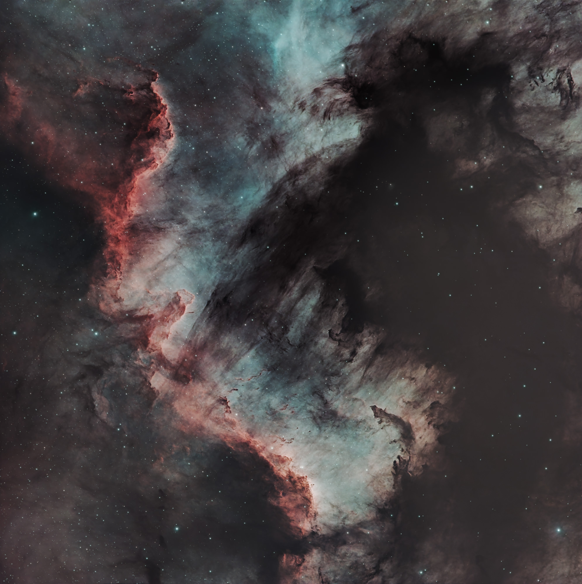 Cygnus Wand im Sternbild Schwan, Teil des Nordamerika Nebels, NGC7000